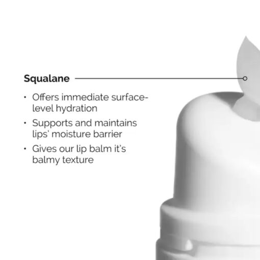 The Ordinary - Squalane + Amino Acids Hydrating Lip Balm - 15 ml